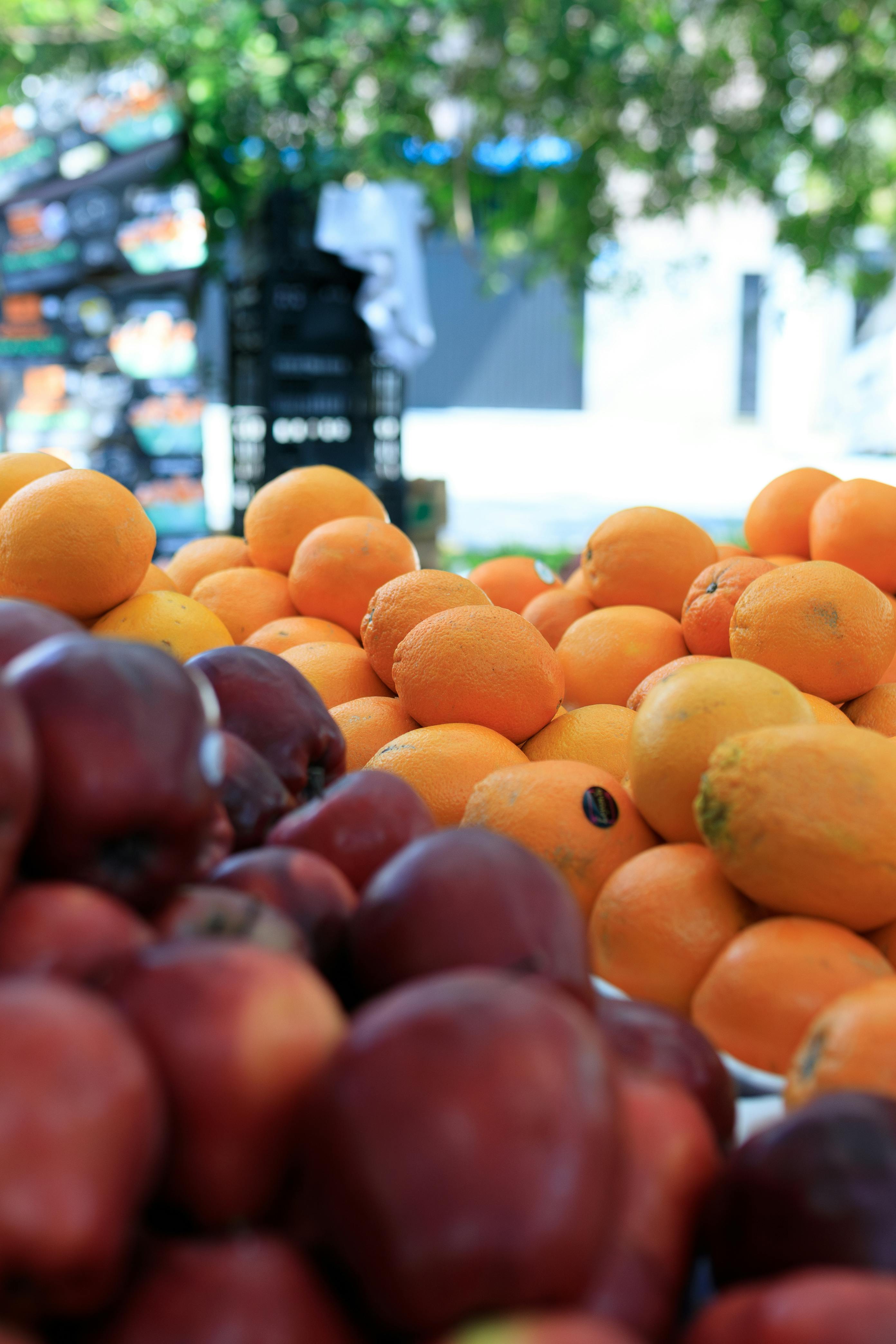 Effective Ways to Optimize In and Out Nutrition Results in 2025