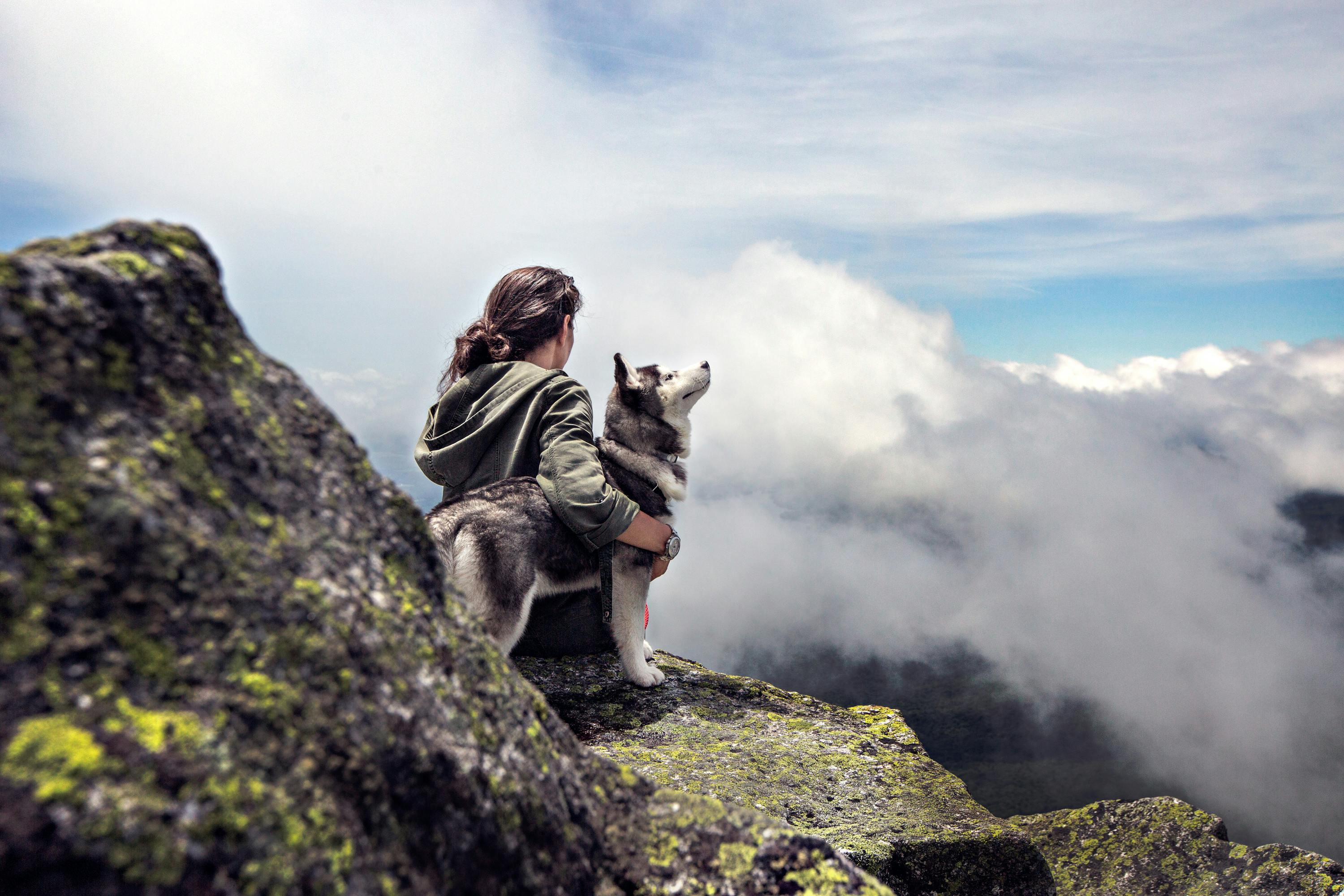 Best 5 Ways to Showcase Your 4 by 6 Pictures in 2025