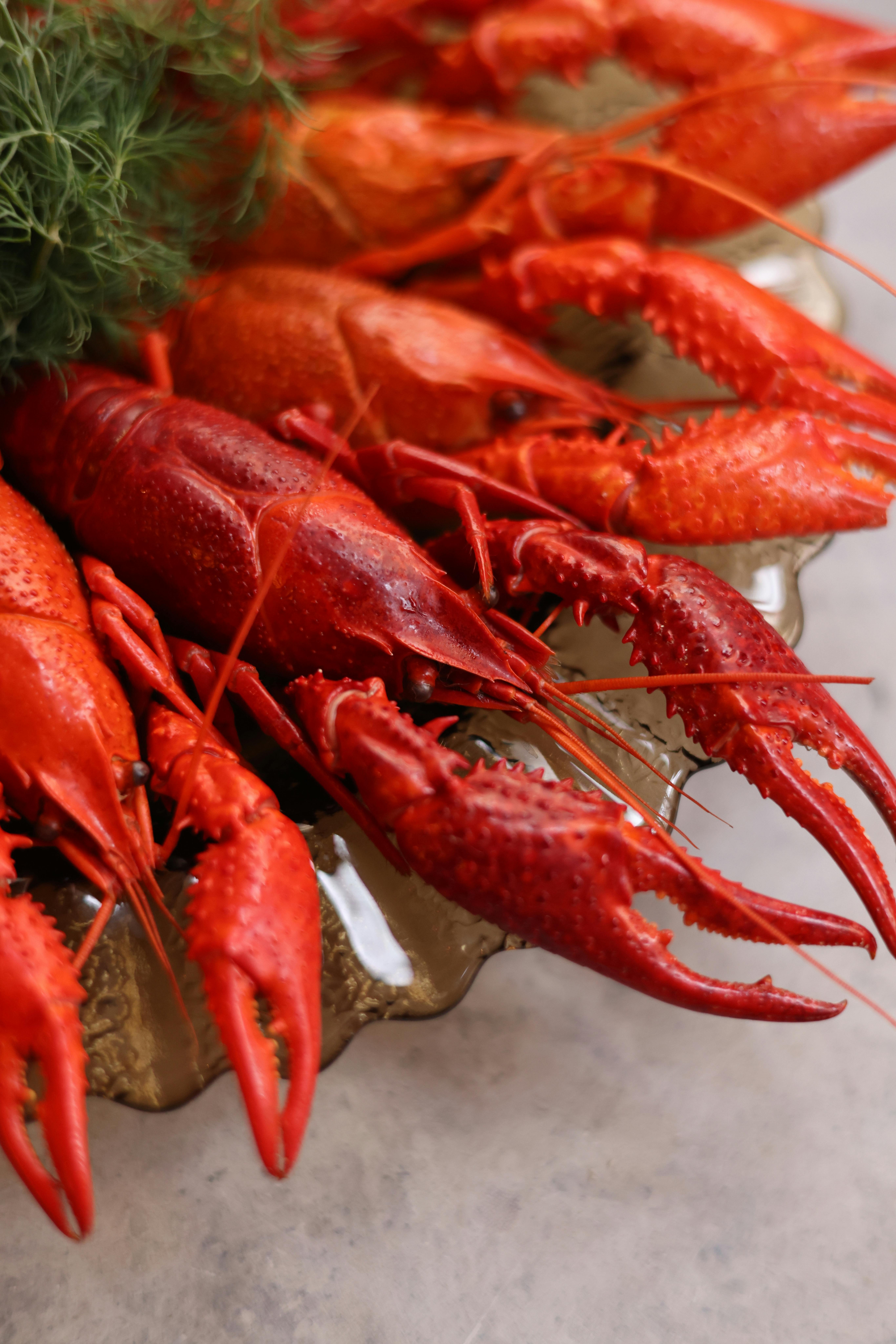 Top 5 Healthy Lunch Meat Options to Consider in 2025